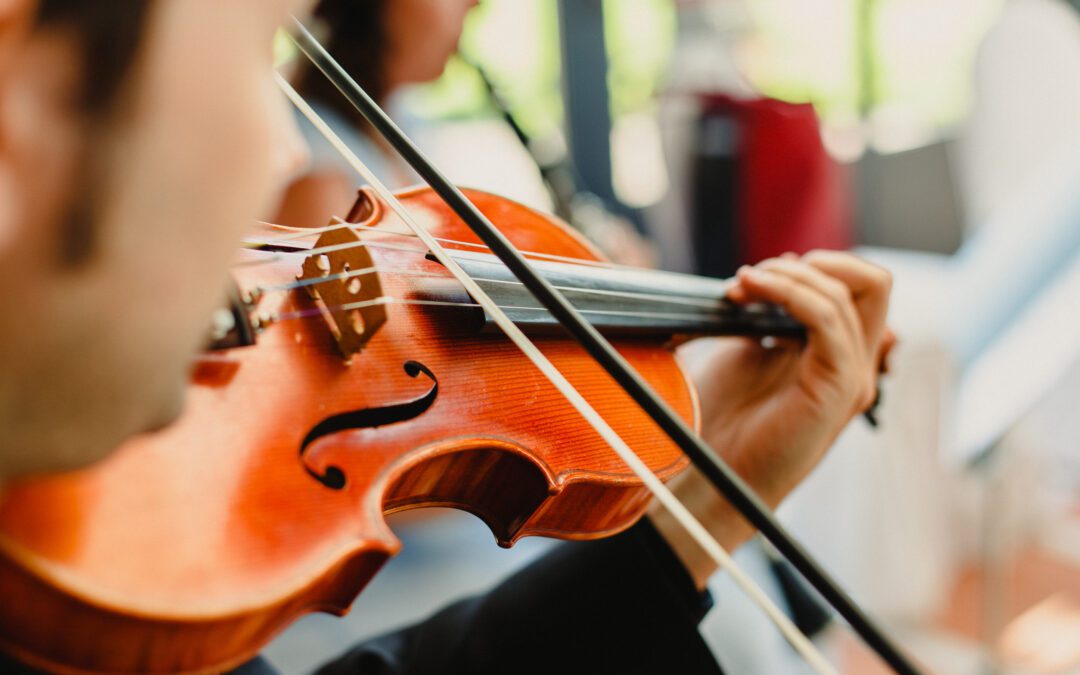 Back view of a violinist performing a piece with his violin, unfocused background
